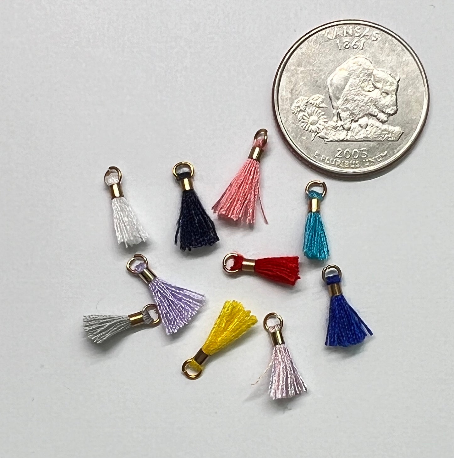 Tassels Charm